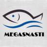   MegaSnasti
